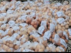 CSR PT Malindo, Kadis Perikanan dan Peternakan Cari Muka