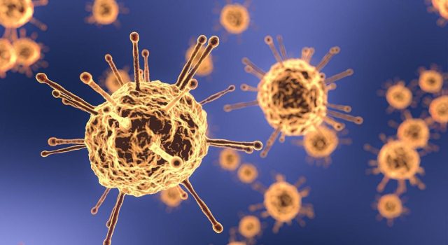 Belum Ada Kasus Hantavirus di Karawang, Warga Diminta Waspada Dinkes Karawang hantavirus