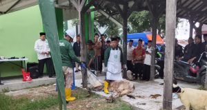 Pelatihan Juru Sembelih Halal