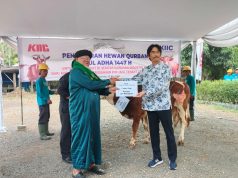 Idul Adha 2026, KIIC Salurkan Puluhan Hewan Kurban untuk Warga Sekitar Kawasan Industri Hewan kurban kiic