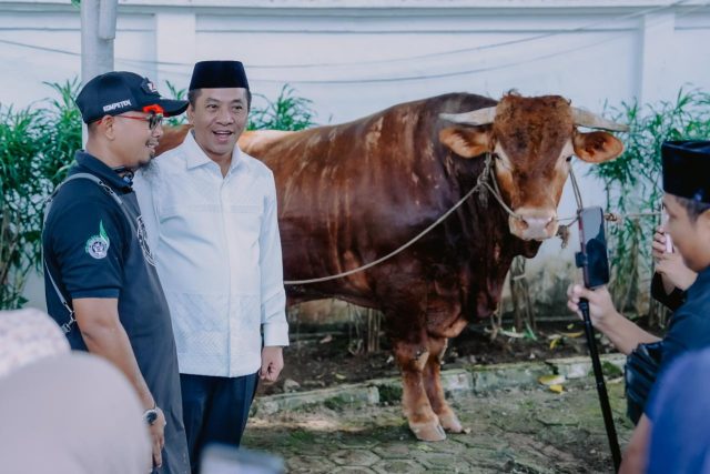 IMG-20260527-WA0027 Sapi kurban presiden di karawang