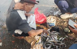 Dlh Ikan mati massal di karawang