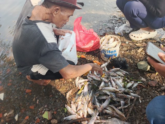 Dlh Ikan mati massal di karawang
