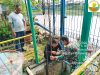Soal Ikan Mati Massal di Karawang, DLH dan Satgas Citarum Turun Tangan Dlh karawang ikan mati massal