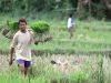 Program Bupati Karawang: Anak Petani Bakal Dapat Beasiswa Kuliah di Fakultas Pertanian Unsika Program petani bupati karawang