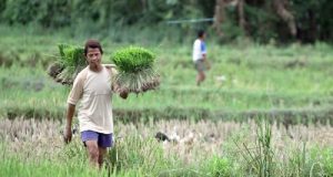 Program Bupati Karawang: Anak Petani Bakal Dapat Beasiswa Kuliah di Fakultas Pertanian Unsika Program petani bupati karawang