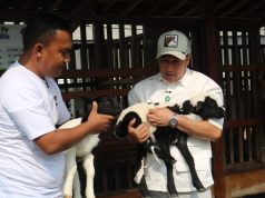 Laskar farm karawang irfan hakim