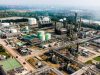 Gandeng PLN EPI & CISRI HYPOR, Pupuk Kujang Kembangkan Gas Hidrogen dari Biomassa Biomassa pupuk kujang