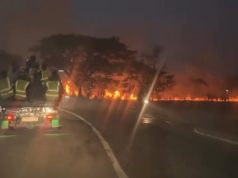 Lahan Dekat Tol Karawang Barat Terbakar, Empat Armada Damkar Dikerahkan Lahan di karawang barat terbakar