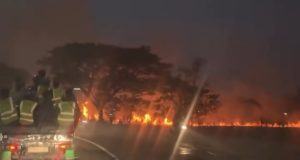 Lahan Dekat Tol Karawang Barat Terbakar, Empat Armada Damkar Dikerahkan Lahan di karawang barat terbakar