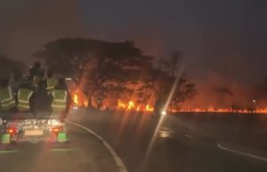 Lahan Dekat Tol Karawang Barat Terbakar, Empat Armada Damkar Dikerahkan Lahan di karawang barat terbakar