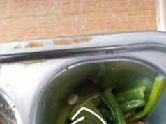 Hii.. Ada Ulat di Menu MBG Siswa SMKN 2 Karawang Ulat di mbg smkn karawang