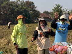 Serapan Tembus 92,4 Ribu Ton, BULOG Karawang Topang Rekor Pengadaan Beras Nasional Serapan beras bulog karawang